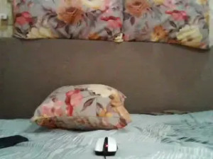 Watch LateKot32 recorded live streams from Stripchat on 2025/03/27, Cam Archive