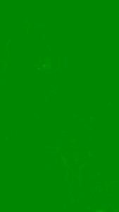 Watch mila920 recorded live streams from CAM4 on 2025/03/29, Cam Archive