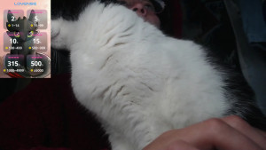 Watch darkness_joones recorded live streams from Chaturbate on 2025/03/30, Cam Archive