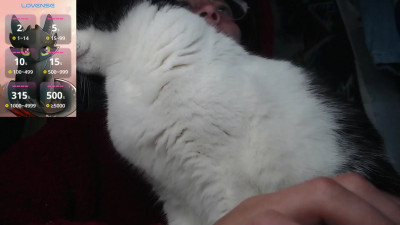 Watch darkness_joones recorded live streams from Chaturbate on 2025/03/30, Cam Archive