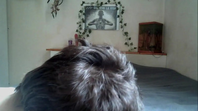 Watch aleida7 recorded live streams from CAM4 on 2025/04/01, Cam Archive