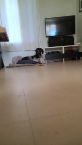 Watch tomsauwer recorded live streams from CAM4 on 2025/04/01, Cam Archive