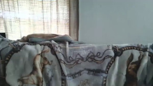 Watch gentleman_and_eve recorded live streams from Chaturbate on 2025/04/02, Cam Archive