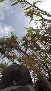 Watch ioanacrazy4 recorded live streams from CAM4 on 2025/04/02, Cam Archive