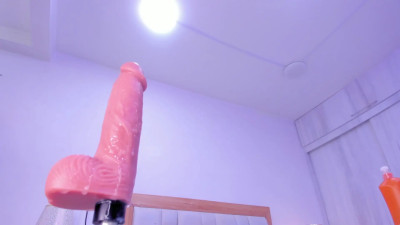 Watch paola_rodriguez recorded live streams from Stripchat on 2025/04/03, Cam Archive