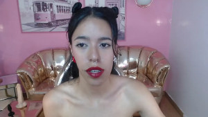 stephania_t