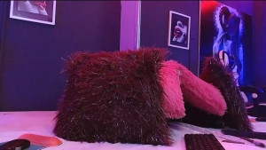 Watch sophy_rock recorded live streams from Stripchat on 2025/04/08, Cam Archive