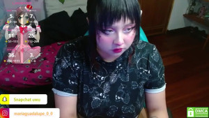 Watch litlle_cat recorded live streams from Stripchat on 2025/04/08, Cam Archive