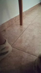 Watch seforaxxx recorded live streams from CAM4 on 2025/04/09, Cam Archive