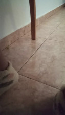 Watch seforaxxx recorded live streams from CAM4 on 2025/04/09, Cam Archive