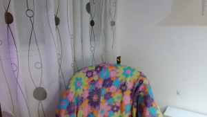 Watch MadisonCambel recorded live streams from Chaturbate on 2025/04/14, Cam Archive