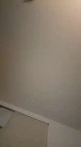 Watch Ozeanchill recorded live streams from Stripchat on 2025/04/17, Cam Archive