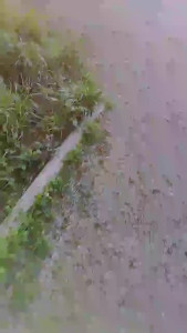 Watch hugo4k recorded live streams from CAM4 on 2025/04/16, Cam Archive