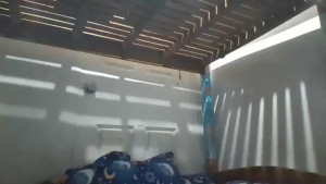 niceasianpussy