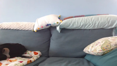 Watch chelseasentra1 recorded live streams from Chaturbate on 2025/04/23, Cam Archive