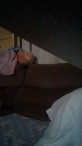 Watch dakota2019s_ho2 recorded live streams from CAM4 on 2025/04/21, Cam Archive