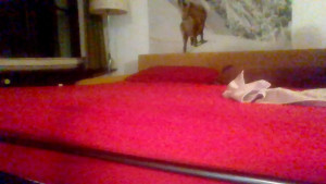 Watch extrascoup recorded live streams from CAM4 on 2025/04/21, Cam Archive