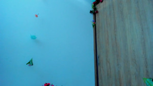 Watch amatista_4 recorded live streams from Chaturbate on 2025/04/23, Cam Archive