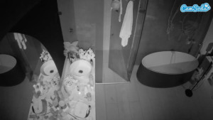 Watch voyeurcam-casa-salsa-bathroom-6 recorded live streams from Camsoda on 2025/04/23, Cam Archive
