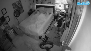 Watch voyeurcam-hornyhostel-01 recorded live streams from Camsoda on 2025/04/23, Cam Archive
