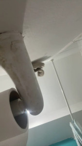 Watch grace69_sexy4 recorded live streams from CAM4 on 2025/04/23, Cam Archive