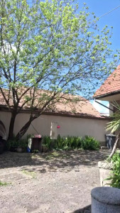 Watch Nico_love10 recorded live streams from CAM4 on 2025/05/02, Cam Archive