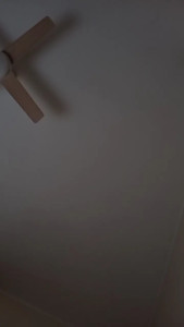 vogliadi6