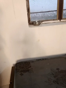 Watch riya_sharma011 recorded live streams from Stripchat on 2025/05/02, Cam Archive