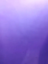 Watch nuts_peanuts recorded live streams from Stripchat on 2025/04/25, Cam Archive