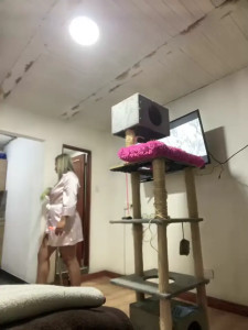 Watch Khalyk_G recorded live streams from Stripchat on 2025/05/03, Cam Archive