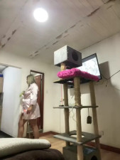 Watch Khalyk_G recorded live streams from Stripchat on 2025/05/03, Cam Archive