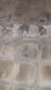 Watch asiahotx recorded live streams from CAM4 on 2025/05/03, Cam Archive