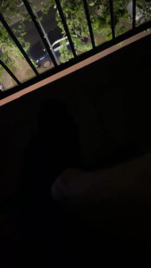 Watch Manu97k recorded live streams from CAM4 on 2025/05/03, Cam Archive