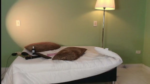 Watch sophie_lii recorded live streams from Chaturbate on 2025/05/06, Cam Archive