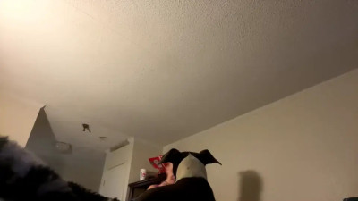 Watch ladybug9097 recorded live streams from Chaturbate on 2025/05/06, Cam Archive