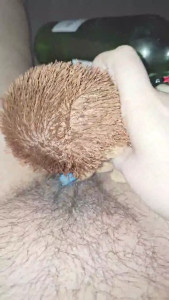 Watch AuroraLive recorded live streams from CAM4 on 2025/05/05, Cam Archive