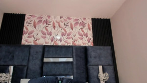 Watch MadelineJones recorded live streams from Chaturbate on 2025/05/07, Cam Archive