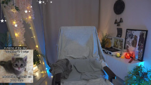 Watch Sarah_Son recorded live streams from Stripchat on 2025/05/07, Cam Archive