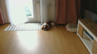 Watch bigbadsmokegirl recorded live streams from CAM4 on 2025/05/08, Cam Archive