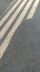 Watch Multi0rgasmiK recorded live streams from CAM4 on 2025/05/11, Cam Archive