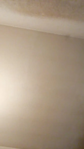 Watch PETITECOCHO recorded live streams from CAM4 on 2025/05/10, Cam Archive